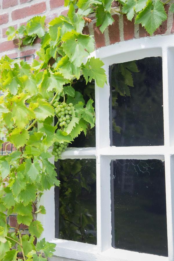 The Cat And The Owl B&B Groenlo Exterior foto